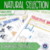 Natural Selection Notes - Scribble Notes