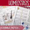 Homeostasis Scribble Notes