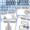 Circulatory System Scribble Notes - Image 4