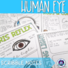 Human Eye Scribble Notes