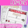 Hormones Scribble Notes