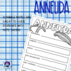 Invertebrates Scribble Notes Bundle - Image 2