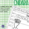 Invertebrates Scribble Notes Bundle - Image 4