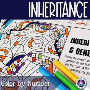 Inheritance and Genetics Review Color by Number Activity